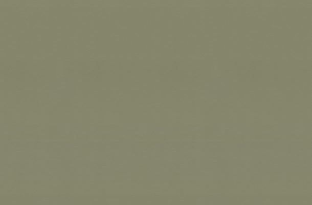 933355 Marmoleum Click 900 x 300 Rosemary Green