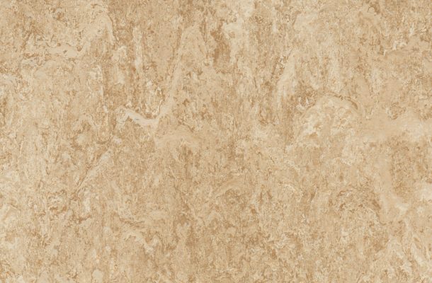 High Resolution-2707 Barley