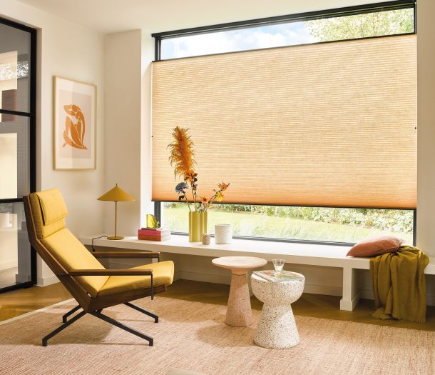 Dupligordijn groot raam woonkamer Luxaflex