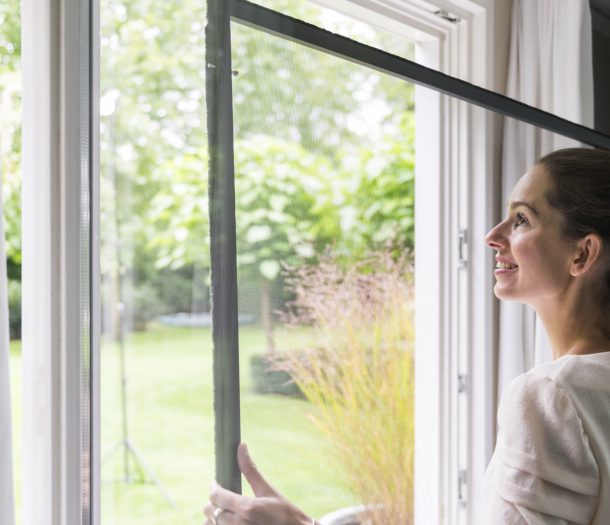 Unliluix veerstift hor voor draaipkiepraam